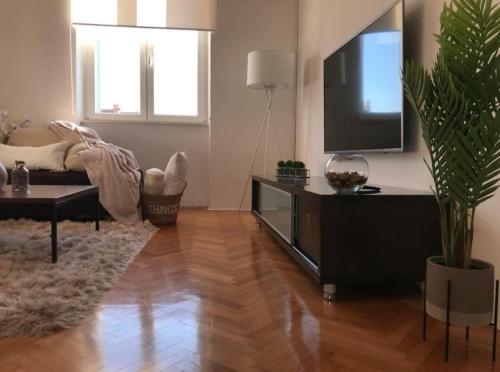 Cozy apartment Solis-city center