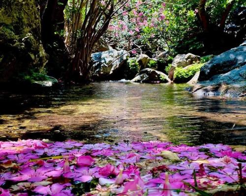 Un paisaje natural cerca del departamento