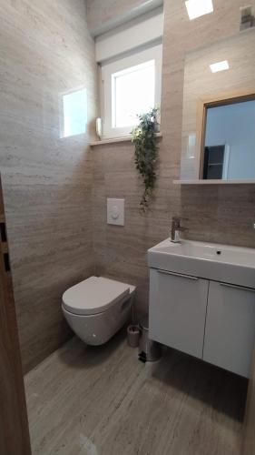 a bathroom with a white toilet and a sink at Primošten Pool Fantasy apartmant in Primošten