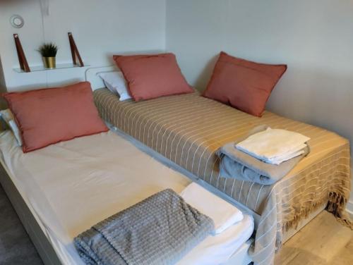 2 Betten nebeneinander in einem Zimmer in der Unterkunft RAVAS Studio climatisé terrasse proche commerces in Montpellier