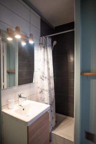 une salle de bain avec un lavabo et une douche dans l'établissement Cham's House - T2 Chamalières, à Chamalières