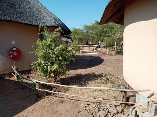 Gallery image of Nkanga Hotel in Kasane