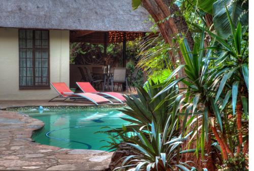 Johannesburg的住宿－樺樹小屋住宿加早餐旅館，庭院内一个带椅子和桌子的游泳池