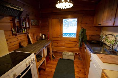 eine Küche mit einem Herd und einem Waschbecken in einer Hütte in der Unterkunft Log Cabin, forrest , sea view, north Sweden. in Luleå