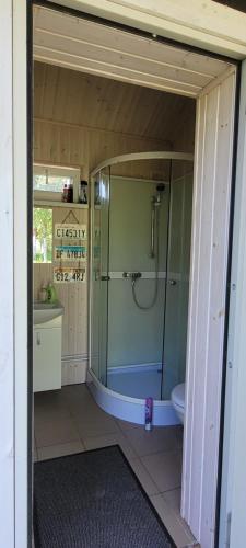 a bathroom with a shower and a toilet at Vigio Brasta camping in Elektrėnai