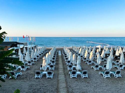 a row of chairs and umbrellas on the beach at Alessia Hotel in Side