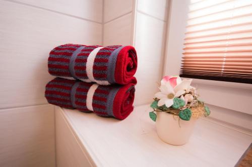 a stack of towels on a window sill next to a flower pot at Haus-Karin-Ferienwohnung-2 in Büsum