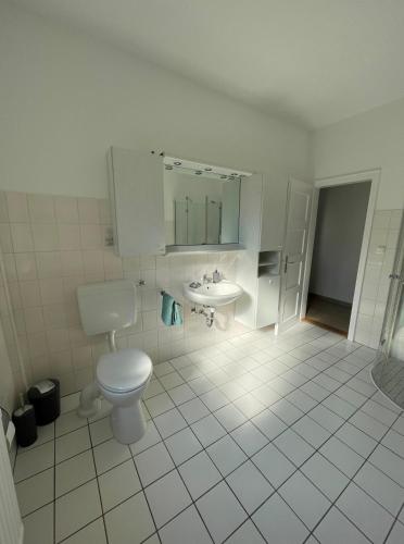 a bathroom with a toilet and a sink at Altes Waldarbeitergehöft in Munster