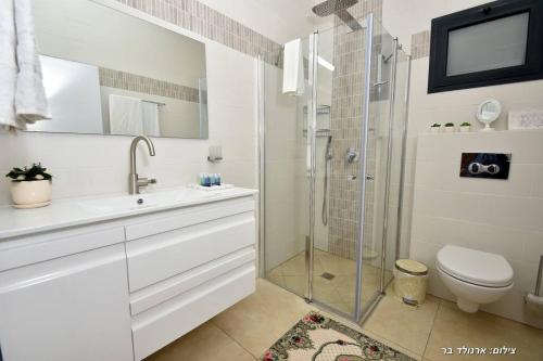 a bathroom with a shower and a sink and a toilet at שקד באופק - וילה מקסימה עם 2 בריכות וג'קוזי מול החרמון in Metulla