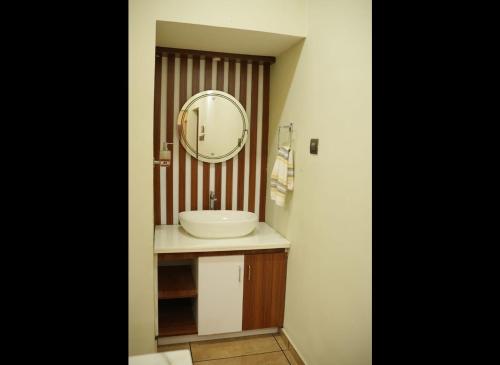 La salle de bains est pourvue d'un lavabo et d'un miroir. dans l'établissement Zenith Homes, à Elūr