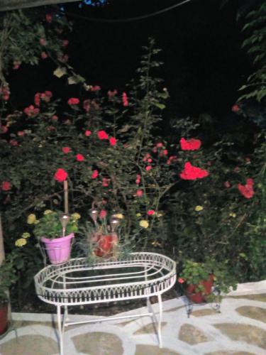 a bench in front of a garden with red roses at Studio Penelope in Kerasochórion