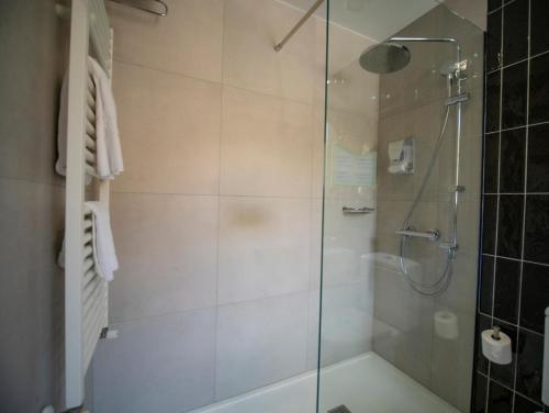 a bathroom with a shower with a glass door at Hotel Roc Meler in Canillo