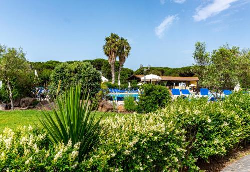 un complejo con piscina, palmeras y arbustos en Ala Birdi Cottage 150MT From The Beach Apartments - Happy Rentals en Arborea 
