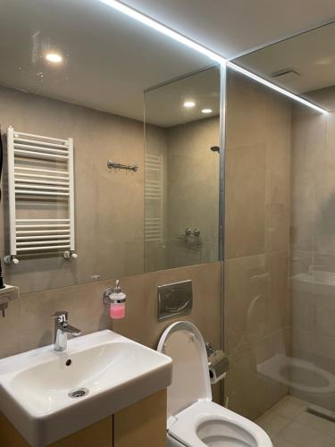 バクリアニにあるCozy Apartment in Bakurianiのバスルーム(トイレ、洗面台、シャワー付)