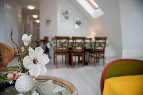 Pécs City View- free parking