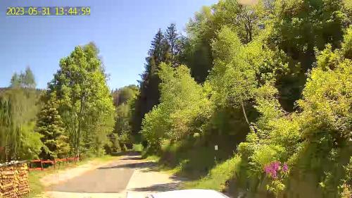 a road with trees on the side of a road at Monteur- und Ferienwohnung Waldrauschen in Fehrenbach