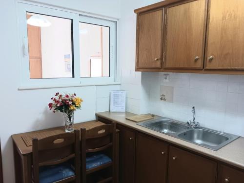 Kuchyň nebo kuchyňský kout v ubytování P&G APARTMENTS