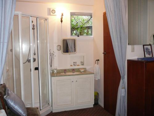 a bathroom with a sink and a shower at Mount Tutu Eco-Sanctuary in Ohauiti