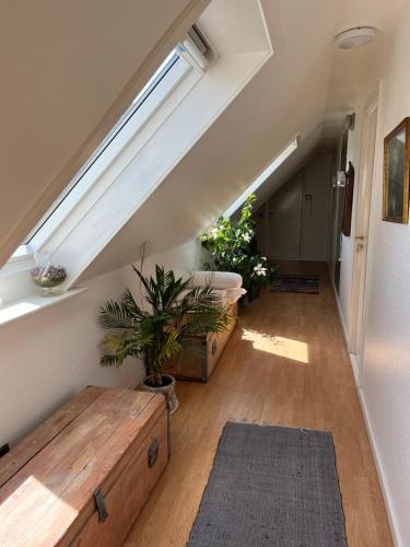 an attic hallway with a bench and a skylight at Munkebo B&B, Thy in Thisted