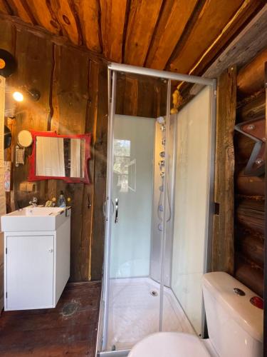 bagno con doccia e lavandino di Casa Fidelina IV Miraflores de la Sierra a Miraflores de la Sierra
