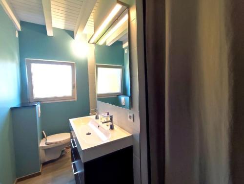 bagno con lavandino, servizi igienici e specchio di La Salixienne maison 6/7 pers a Saulcy-sur-Meurthe