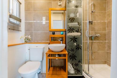 a bathroom with a toilet and a sink and a shower at Mas provençal avec vue sur la Sainte Victoire in Aix-en-Provence
