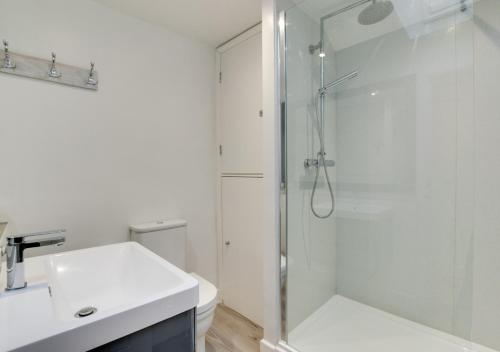een badkamer met een douche, een wastafel en een toilet bij Saltrock Cottage in Kingsbridge
