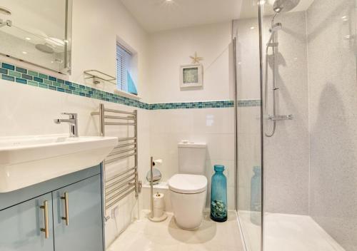 a bathroom with a shower and a toilet and a sink at Riverside House in South Pool