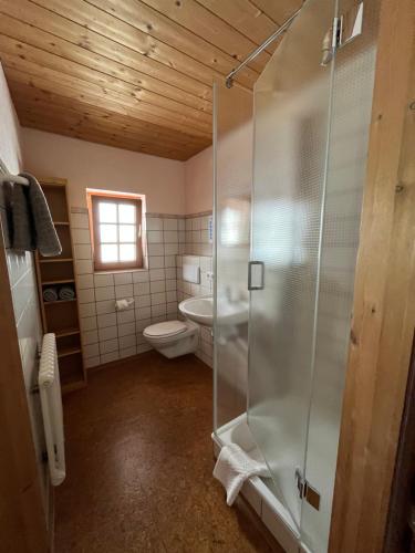 a bathroom with a toilet and a glass shower at Landhaus Alpenstern in Unterjoch