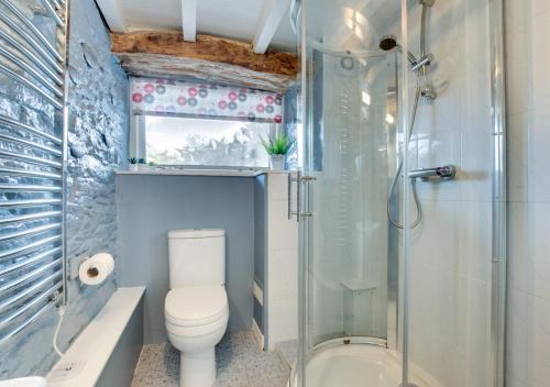 a bathroom with a toilet and a glass shower at Bovey Cottage in Broadhempston