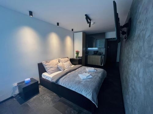 een slaapkamer met een bed en een kleine keuken bij Apartament Ustroń in Ustroń