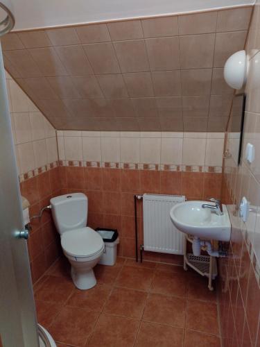 een badkamer met een toilet en een wastafel bij Zajazd nad stawami in Uherce Mineralne