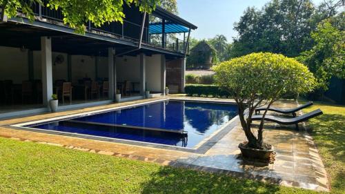 a swimming pool with a tree in a yard at Honey Tree Polonnaruwa in Polonnaruwa