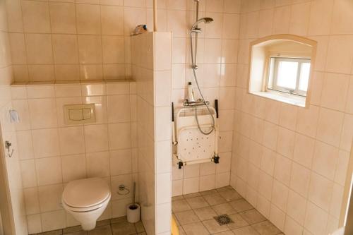 een kleine badkamer met een toilet en een douche bij Pothuus 2 persoons vrijstaand huis met vrij uitzicht in de Achterhoek in Ruurlo