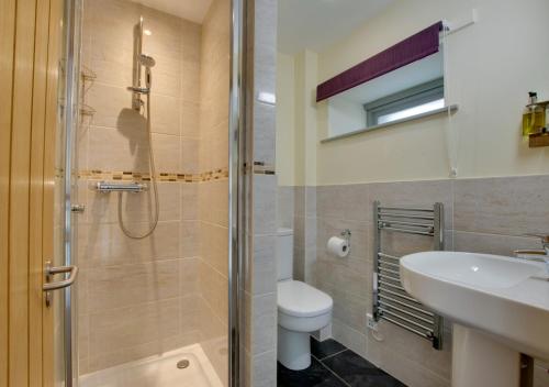 a bathroom with a shower and a toilet and a sink at Plym Cottage in Broadhempston