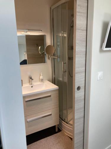une salle de bain avec un lavabo et une douche dans l'établissement Appartement neuf, centre ville d'Agde, à Agde