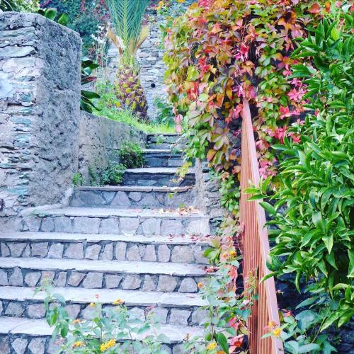 a set of stone stairs in a garden with flowers at Hotel Cyrnea in Bastia