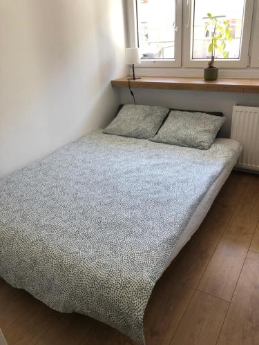 un letto in una camera da letto con due cuscini e una finestra di Silver Apartments - Orientarium,Aquapark Fala & Park a Łódź