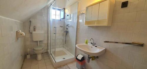 y baño con lavabo, ducha y aseo. en Apartment in Balatonbereny 35891 en Balatonberény