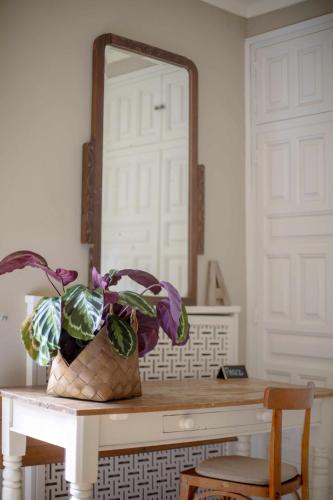 a plant in a basket on a table in front of a mirror at unic views begur, alojamiento turístico in Begur