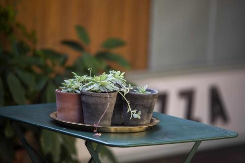 two potted plants sitting on top of a table at unic views begur, alojamiento turístico in Begur