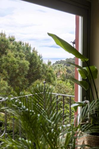 a window with a view of a palm tree at unic views begur, alojamiento turístico in Begur