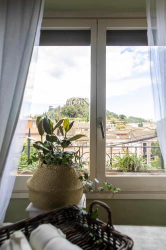 a kitchen window with a potted plant on a counter at unic views begur, alojamiento turístico in Begur