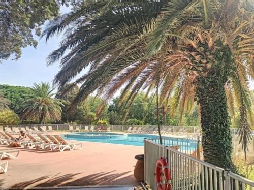 un palmier à côté d'une piscine dans l'établissement Apt T2 sur Golf Moliets et Maa, à Moliets-et-Maa