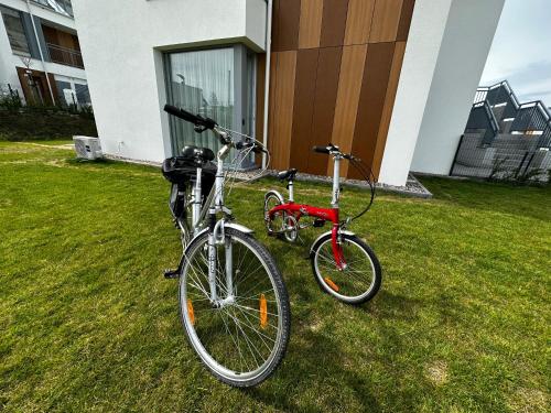 Ποδηλασία στο Apartament Magnolia ή στη γύρω περιοχή