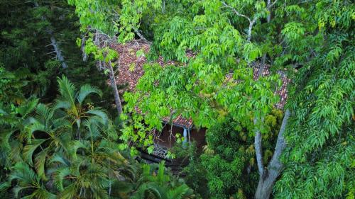 an aerial view of a house surrounded by trees at Whispering House in Tangalle