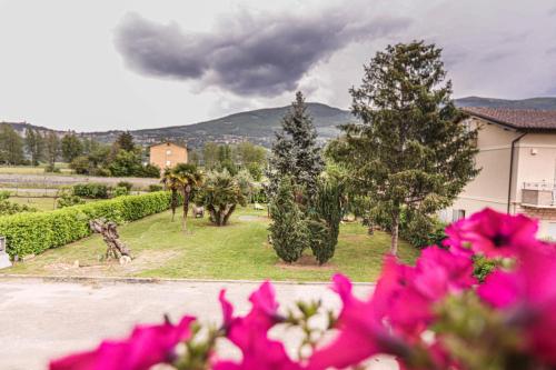 a view of a yard with trees and pink flowers at GlampingCashmereHause in Rivotorto 