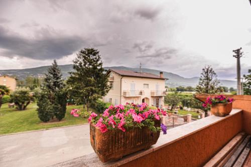 two potted flowers on a balcony with a house at GlampingCashmereHause in Rivotorto 