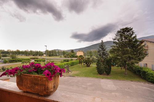 a flower pot sitting on a ledge with flowers at GlampingCashmereHause in Rivotorto 