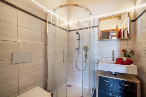 uma casa de banho com um chuveiro, um WC e um lavatório. em Sagschneiderhof Red Delicious em Plaus